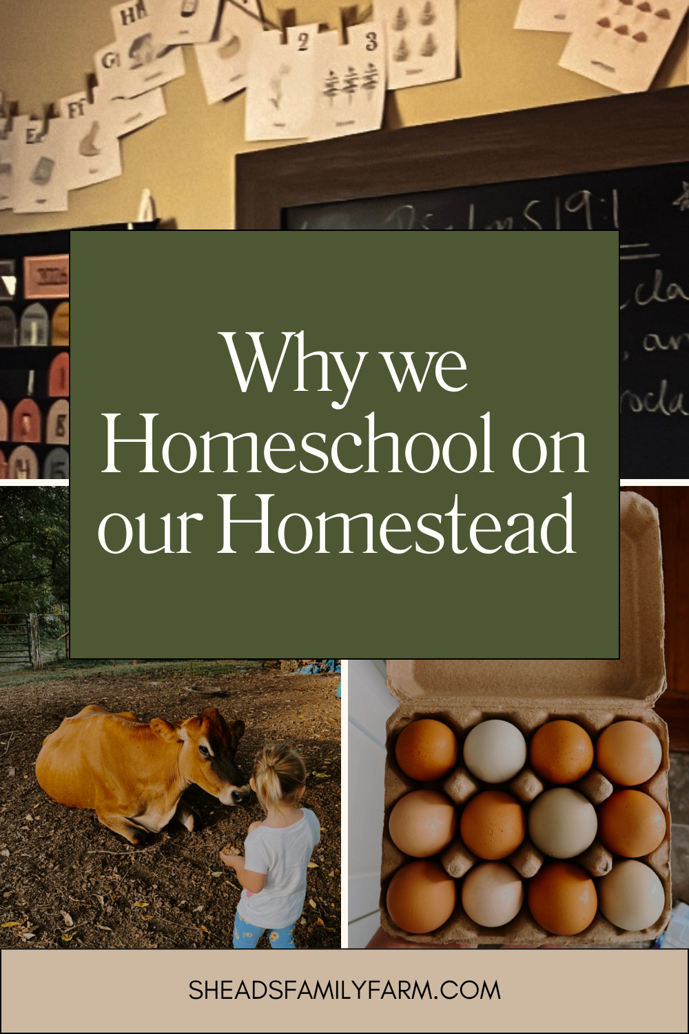 Why We Chose to Homeschool on our Homestead